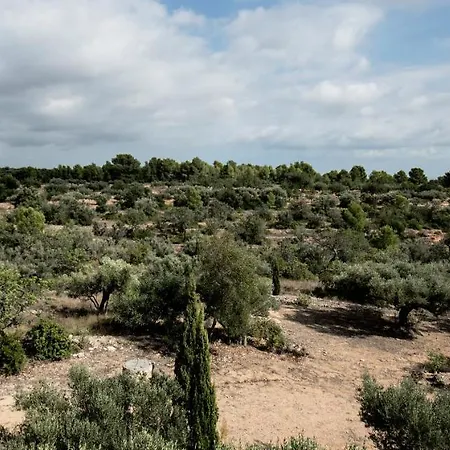 Jabali